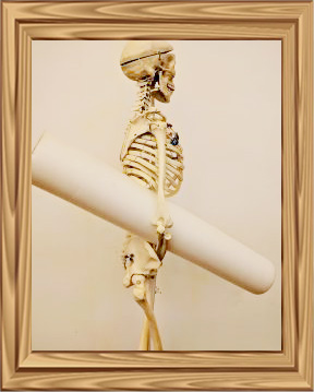 skel-frame Mind in Motion: Feldenkrais Training - Finding Midline
